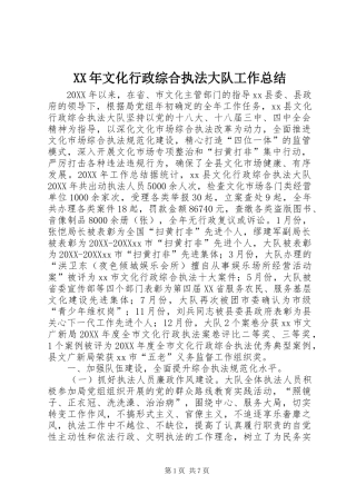 2024年文化行政综合执法大队工作总结