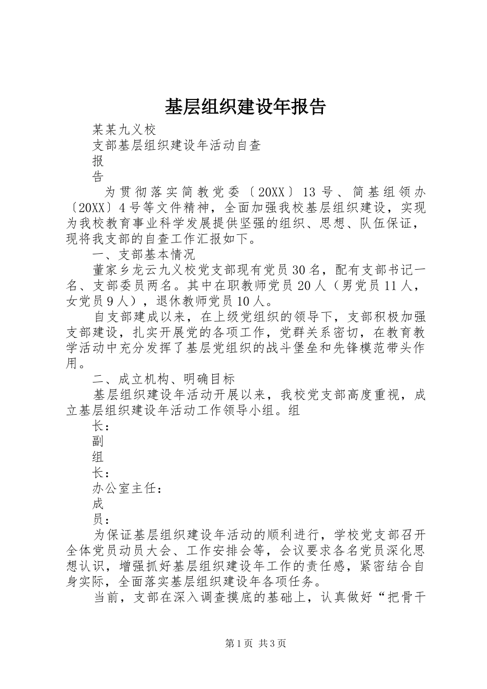 2024年基层组织建设年报告_第1页