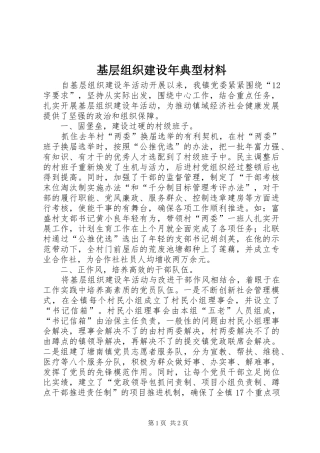 2024年基层组织建设年典型材料