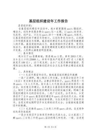 2024年基层组织建设年工作报告