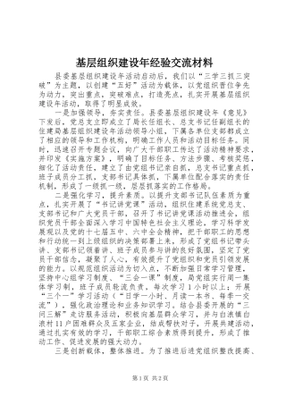 2024年基层组织建设年经验交流材料