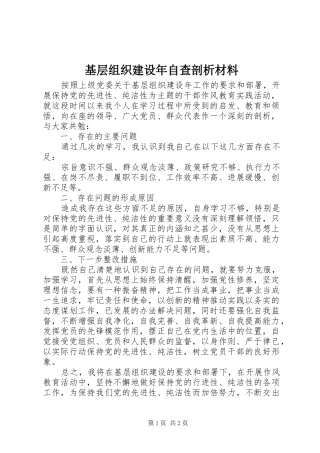 2024年基层组织建设年自查剖析材料