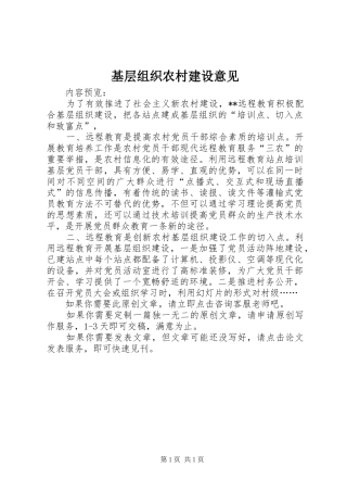 2024年基层组织农村建设意见