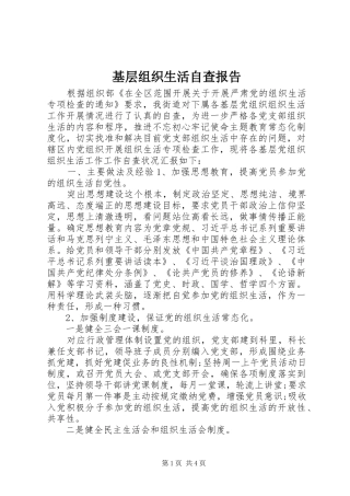 2024年基层组织生活自查报告