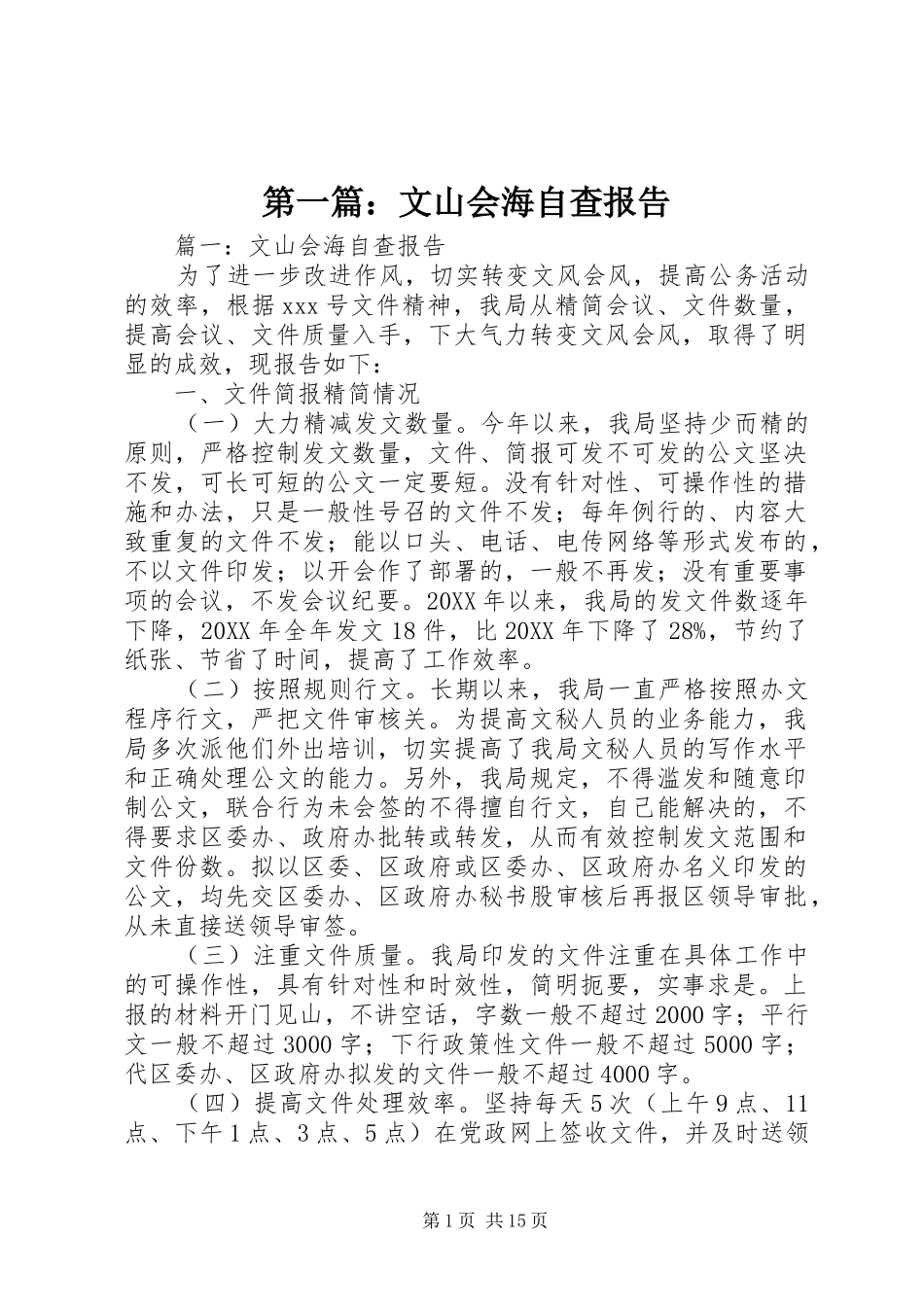 2024年文山会海自查报告_第1页