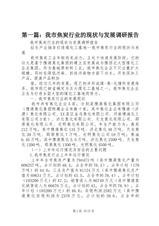 2024年我市焦炭行业的现状与发展调研报告