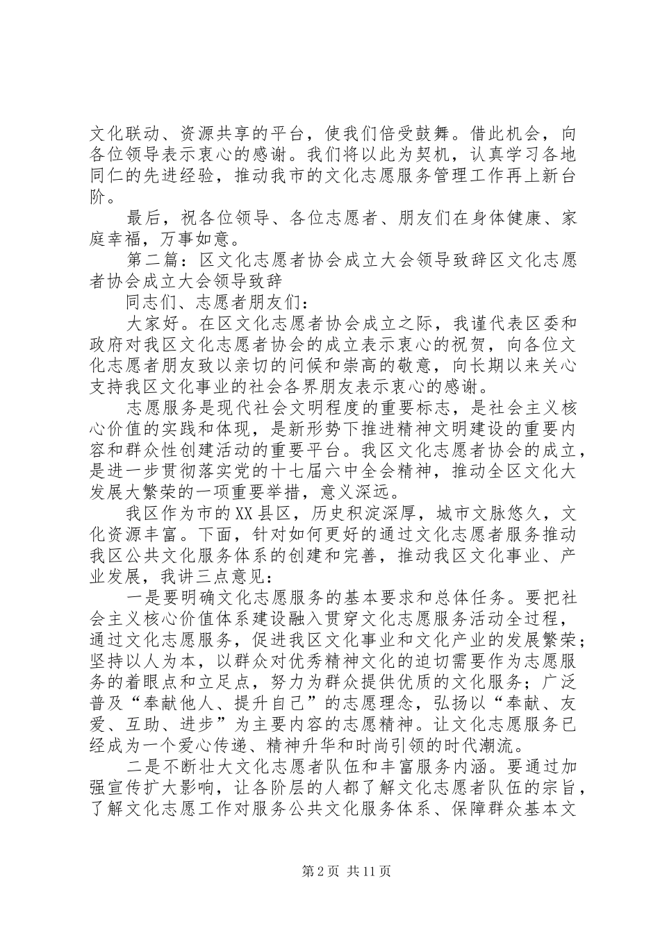 2024年全国文化志愿者致辞_第2页