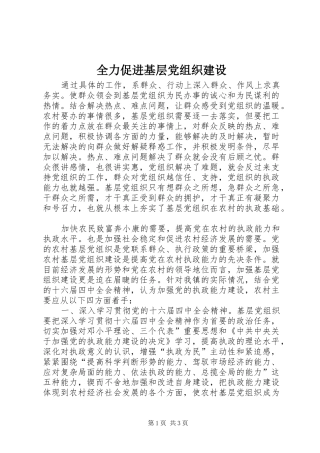 2024年全力促进基层党组织建设