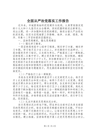 2024年全面从严治党落实工作报告