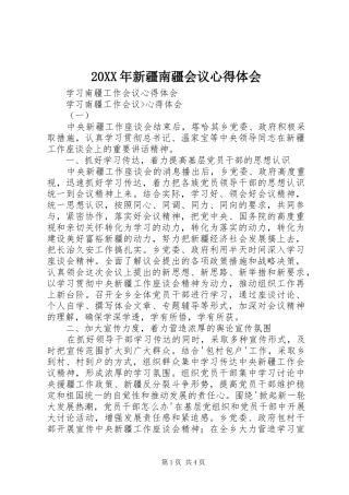 2024年新疆南疆会议心得体会