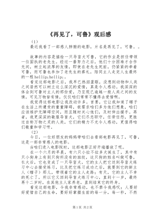 2024年再见了，可鲁观后感