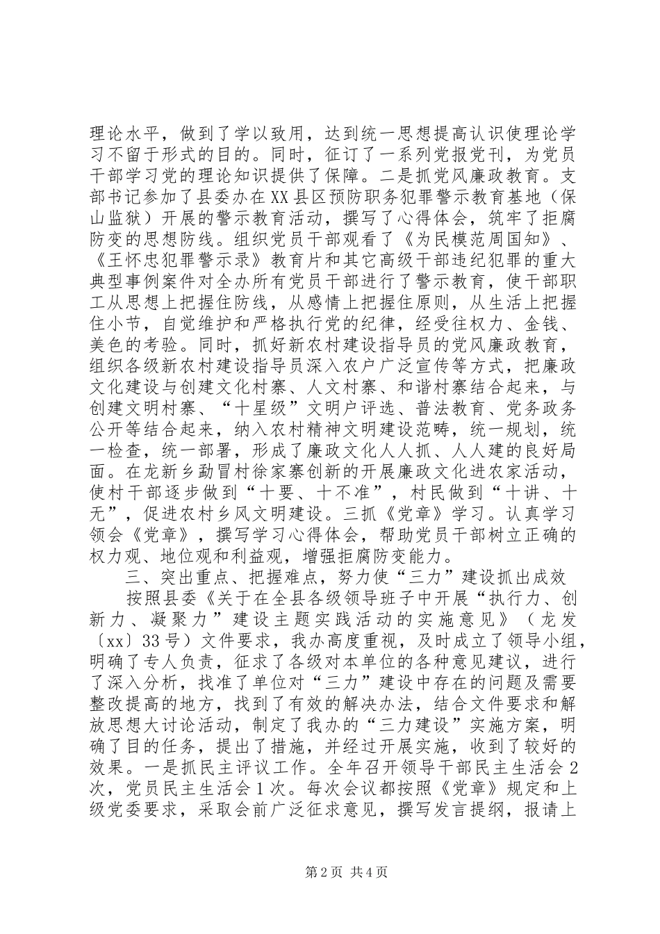 2024年新农办党支部工作总结范文_第2页