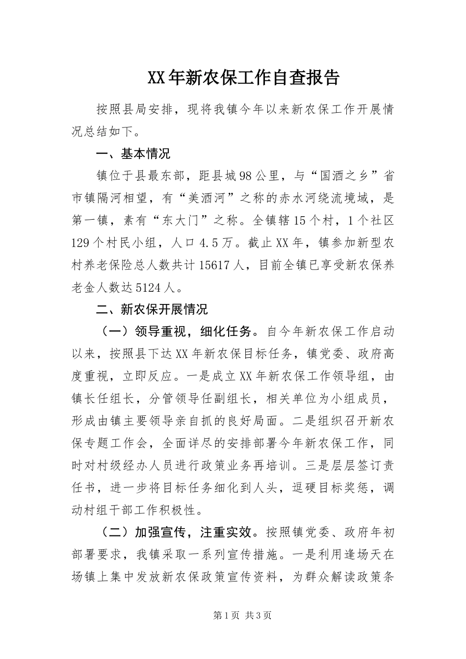 2024年新农保工作自查报告_第1页