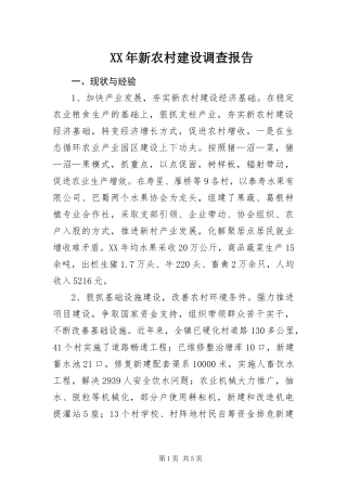 2024年新农村建设调查报告