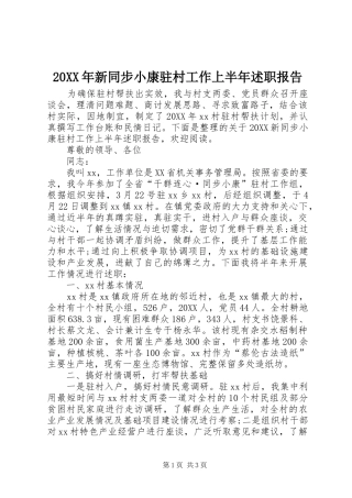 2024年新同步小康驻村工作上半年述职报告