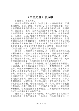 2024年中坚力量读后感