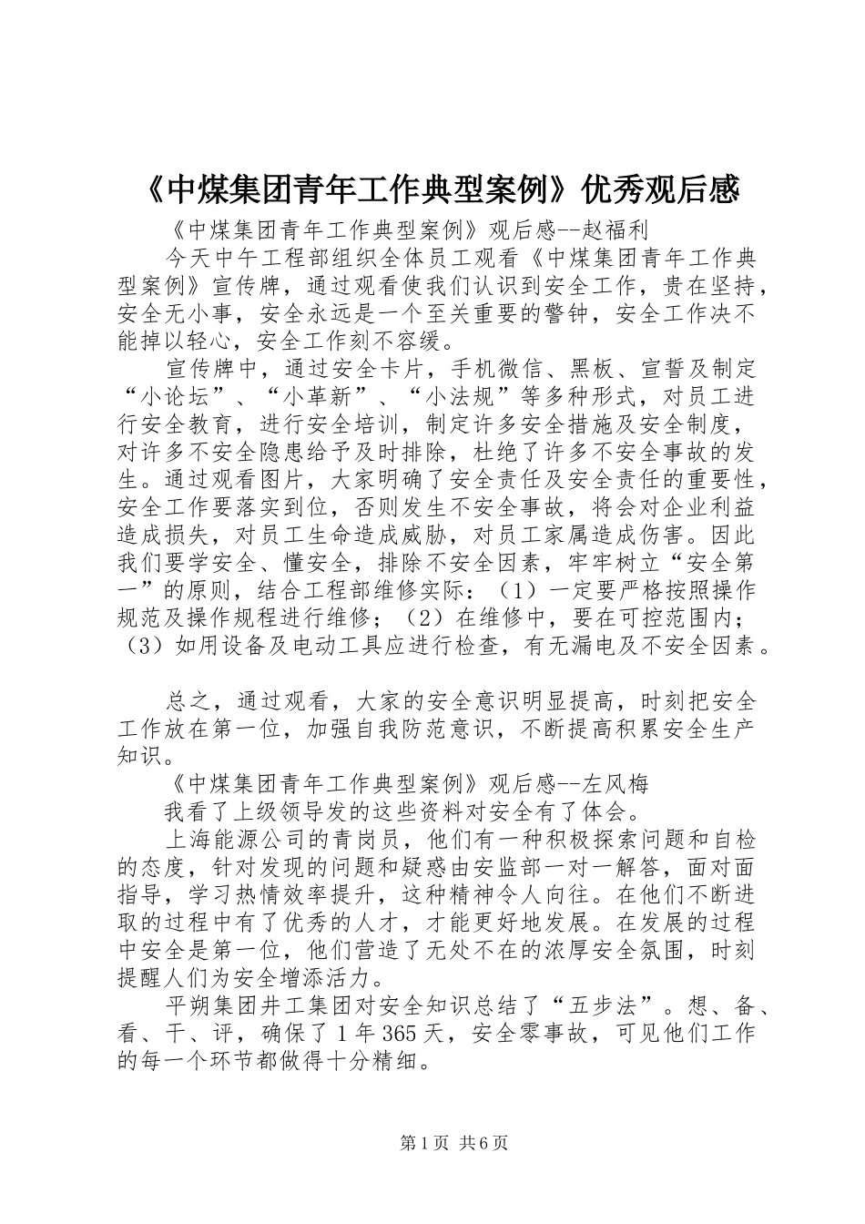 2024年中煤集团青年工作典型案例优秀观后感_第1页