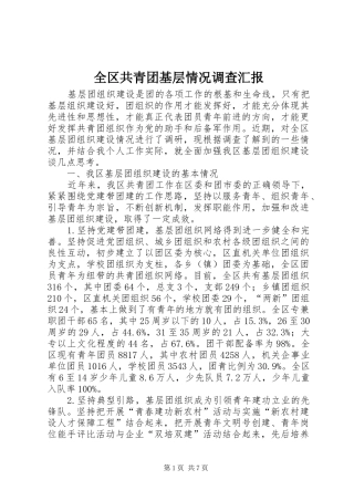 2024年全区共青团基层情况调查汇报