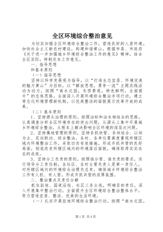 2024年全区环境综合整治意见