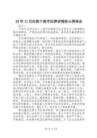 2024年月纪检干部守纪律讲规矩心得体会