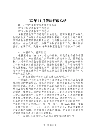 2024年月依法行政总结