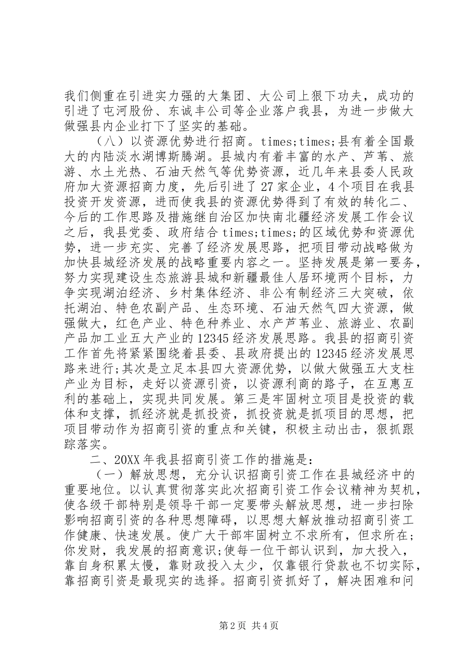 2024年招商引资年终总结_第2页