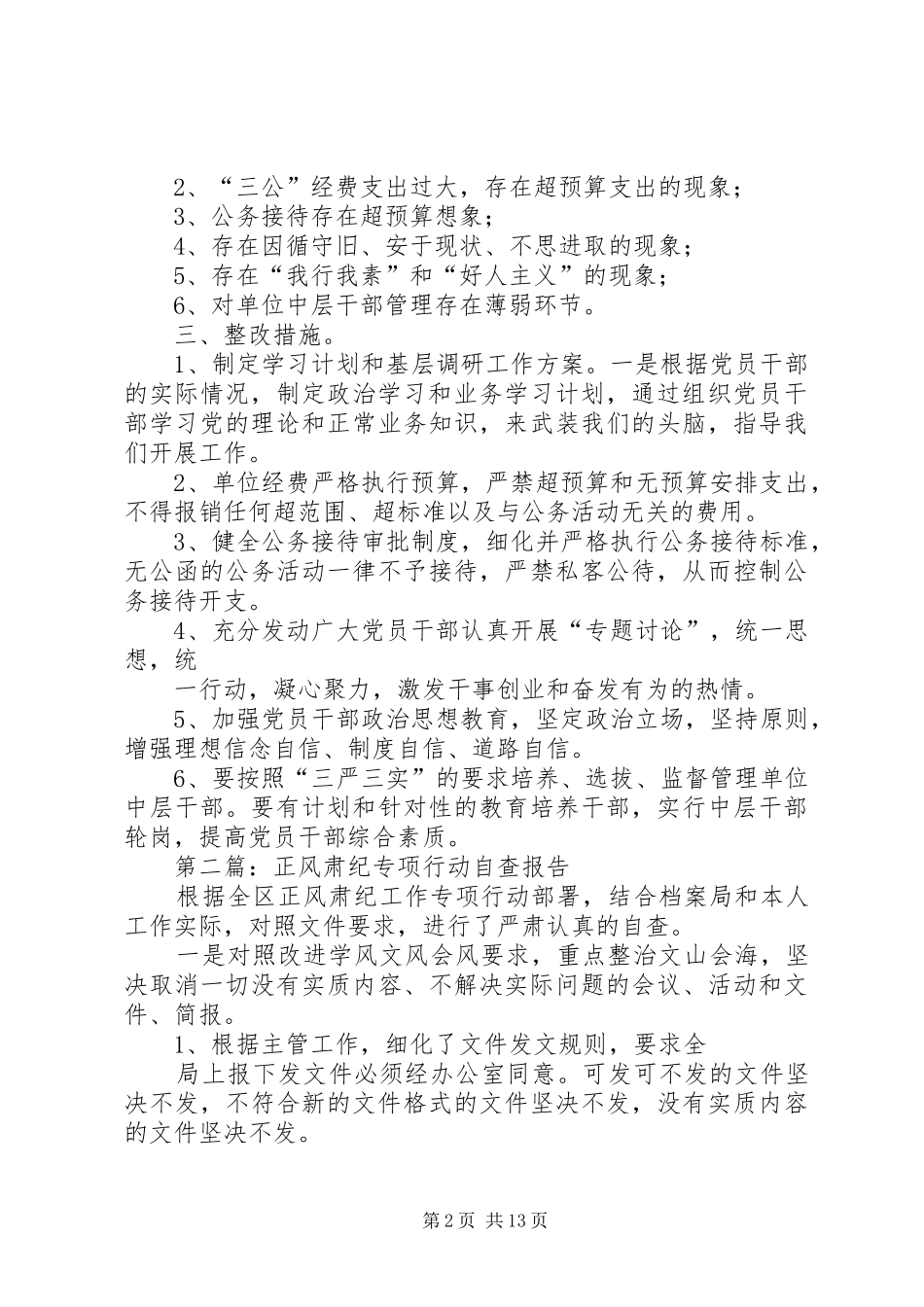 2024年正风肃纪专项行动自查报告_第2页