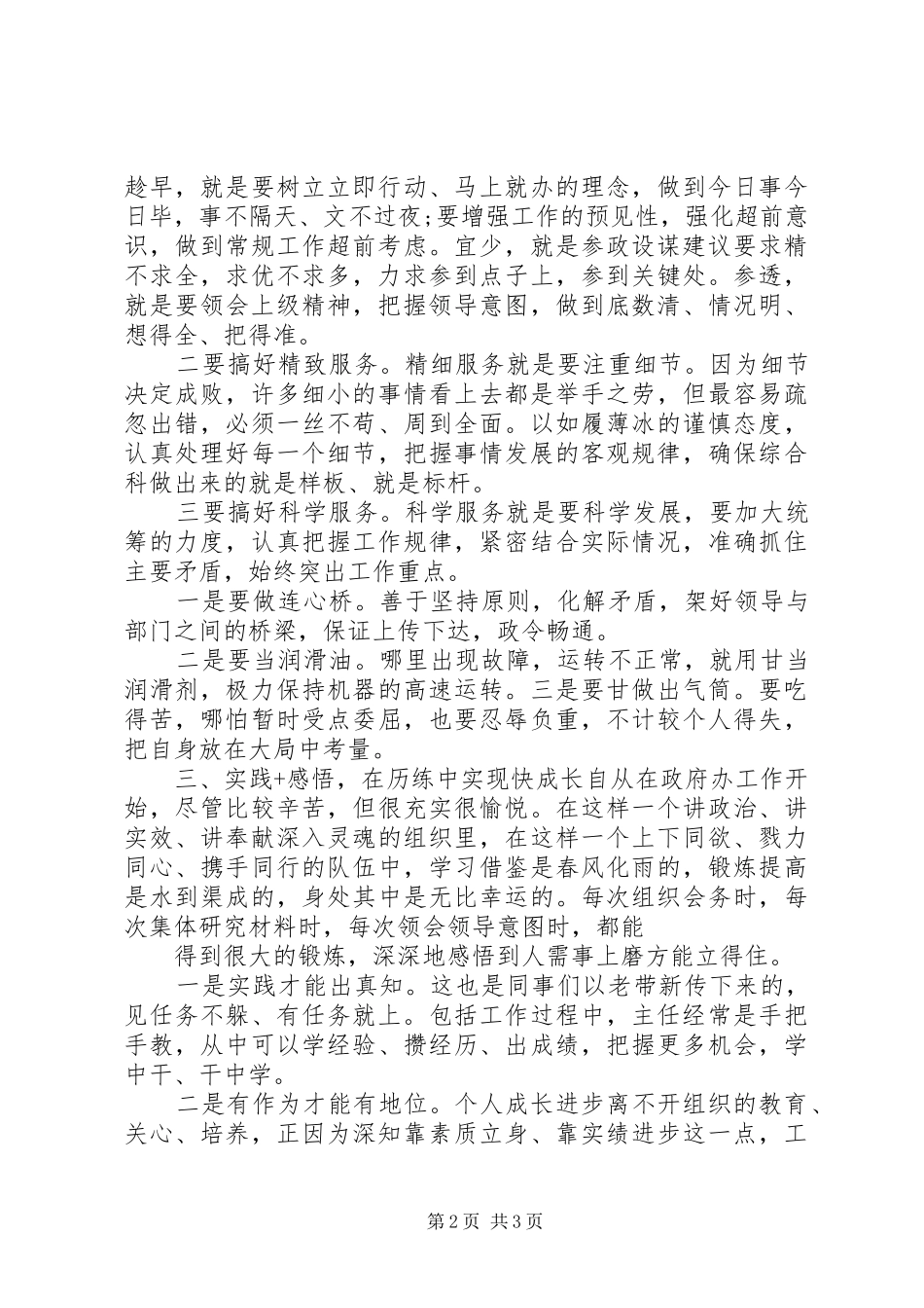 2024年政府办个人年终工作总结_第2页