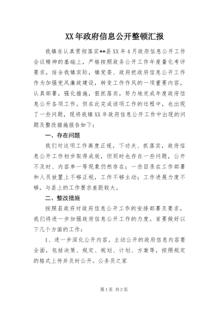 2024年政府信息公开整顿汇报