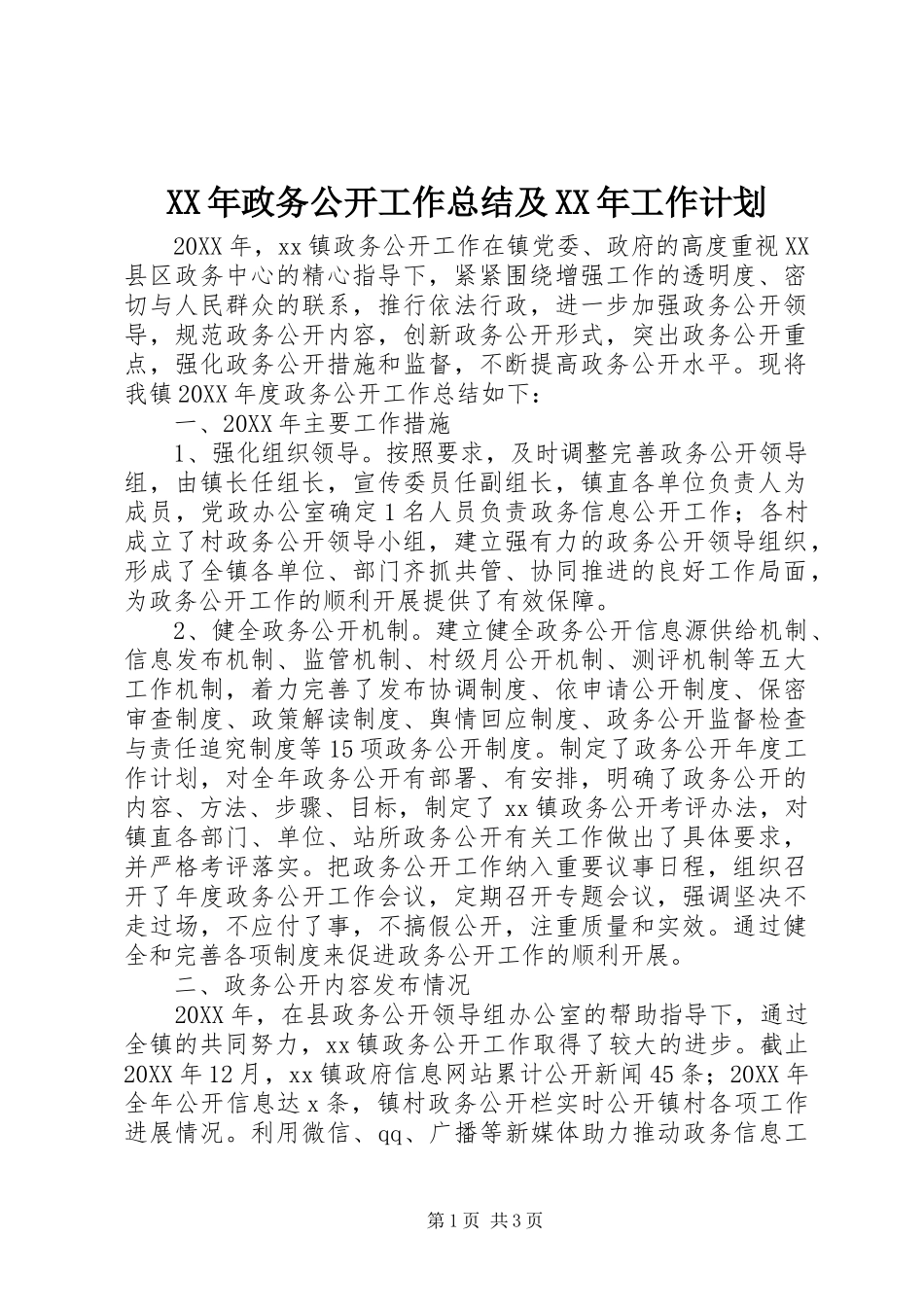 2024年政务公开工作总结及工作计划_第1页