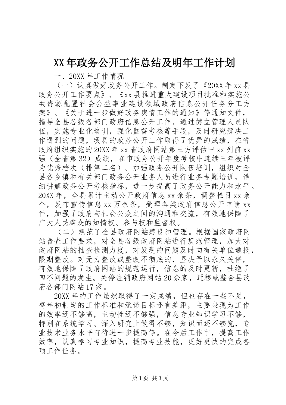 2024年政务公开工作总结及明年工作计划_第1页