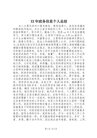 2024年政务信息个人总结