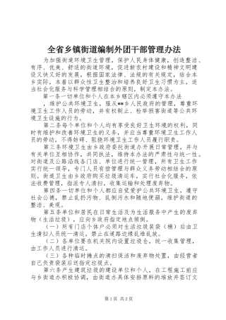 2024年全省乡镇街道编制外团干部管理办法