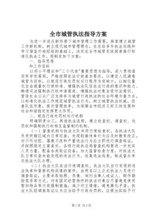 2024年全市城管执法指导方案