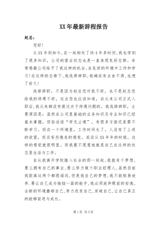 2024年最新辞程报告