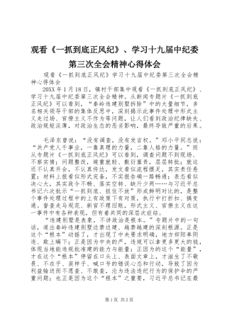 2024年观看一抓到底正风纪学习十九届中纪委第三次全会精神心得体会