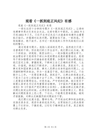 2024年观看一抓到底正风纪有感