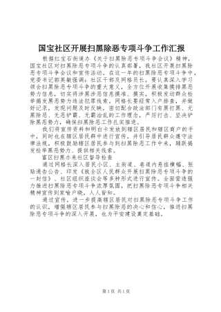 2024年国宝社区开展扫黑除恶专项斗争工作汇报