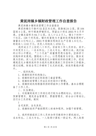 2024年黄泥岗镇乡镇财政管理工作自查报告