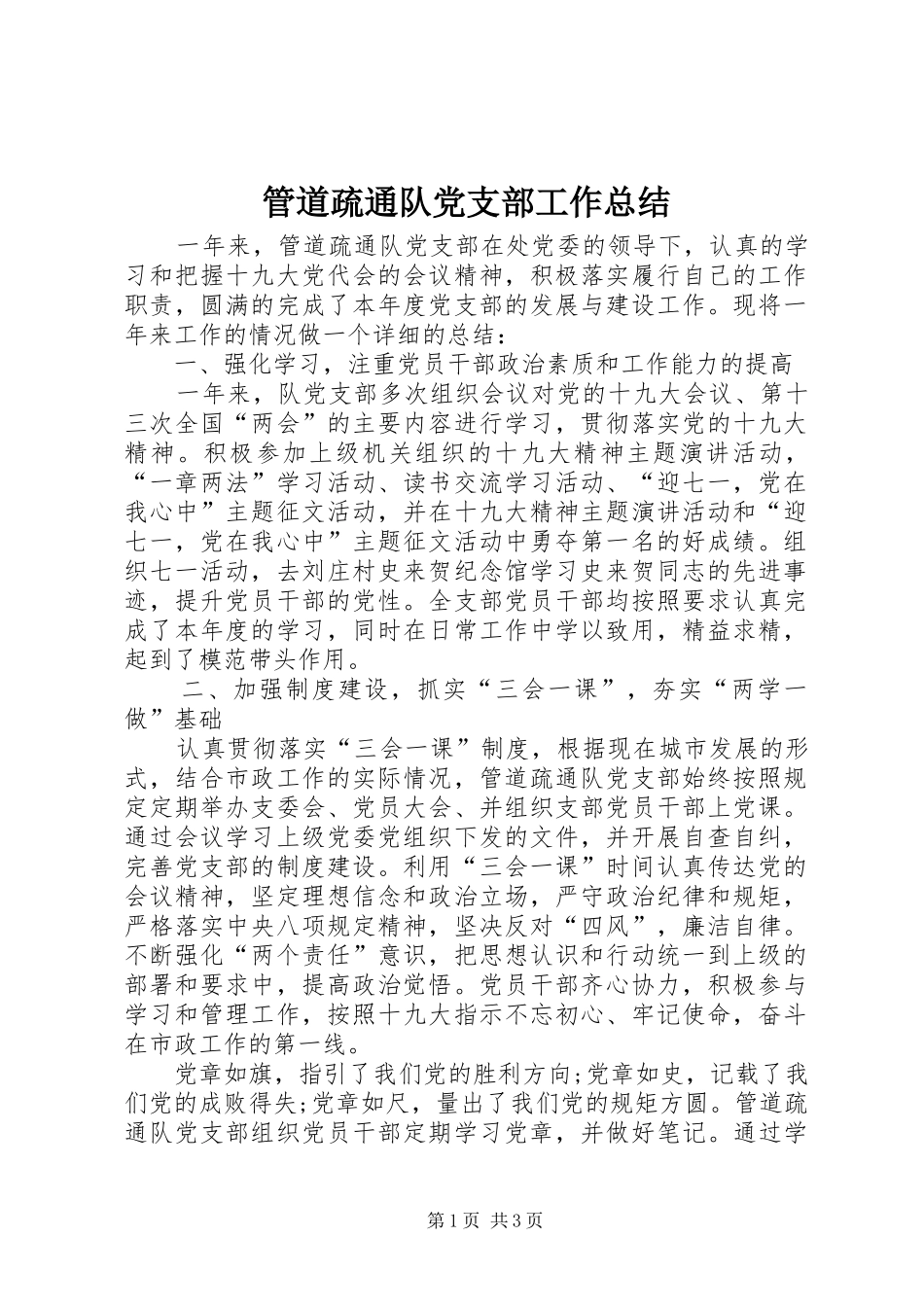 2024年管道疏通队党支部工作总结_第1页