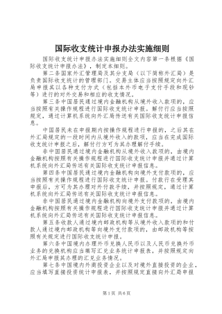 2024年国际收支统计申报办法实施细则