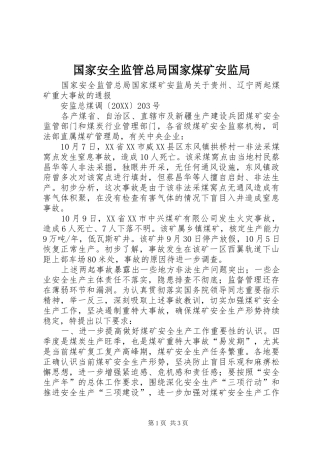 2024年国家安全监管总局国家煤矿安监局