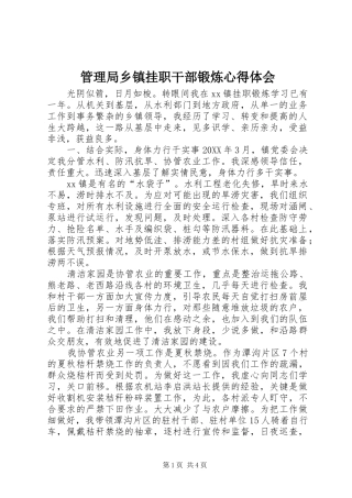 2024年管理局乡镇挂职干部锻炼心得体会