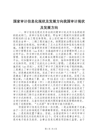 2024年国家审计信息化现状及发展方向我国审计现状及发展方向