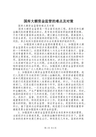 2024年国库大额资金监管的难点及对策