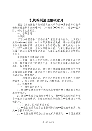 2024年机构编制清理整顿意见