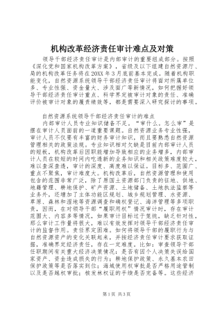 2024年机构改革经济责任审计难点及对策