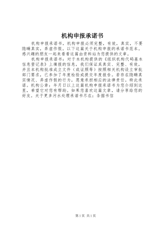 2024年机构申报承诺书