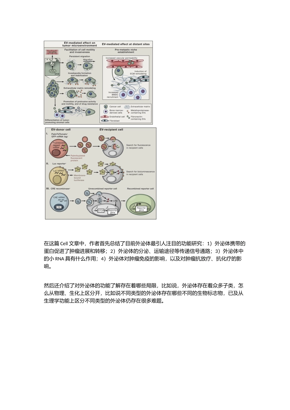 外泌体之家---笔记_第2页