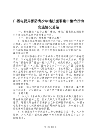2024年广播电视局预防青少年违法犯罪集中整治行动实施情况总结
